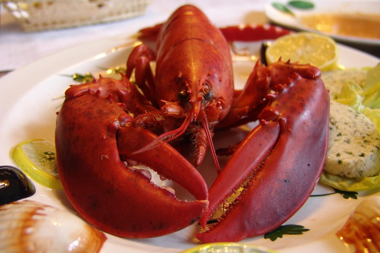 pixelmission-lobster-752705_1280